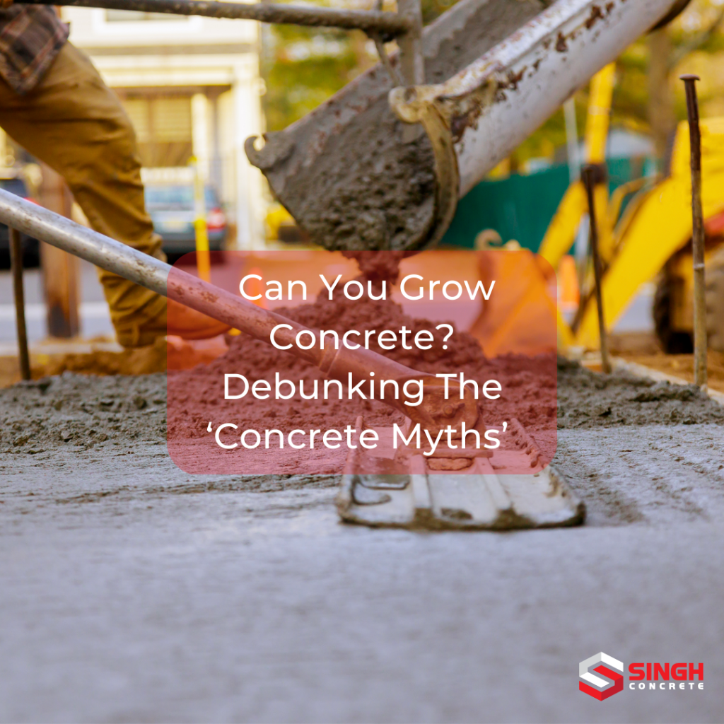 Can You Grow Concrete? Debunking The ‘Concrete Myths’